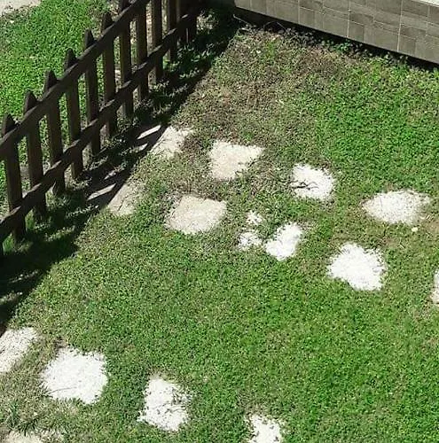 Eudoxia House2 Ofrínion